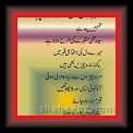 Farit shah 02 * 07.05.2007 * 354 x 720 * (27KB)
